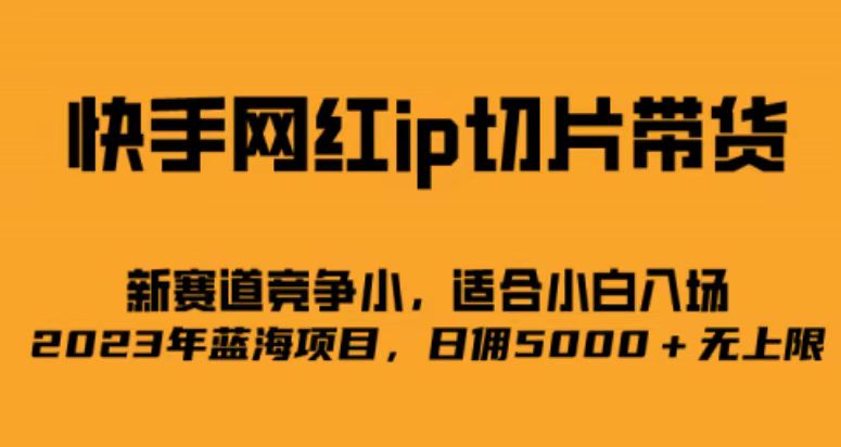 （6832期）快手网红ip切片新赛道，竞争小事，适合小白  2023蓝海项目-古龙岛网创