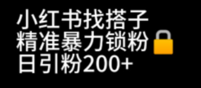 （6807期）小红书找搭子暴力精准锁粉+引流日引200+精准粉-古龙岛网创