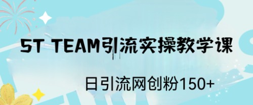 （6578期）ST TEAM引流实操课，日引流网创粉100+-古龙岛网创