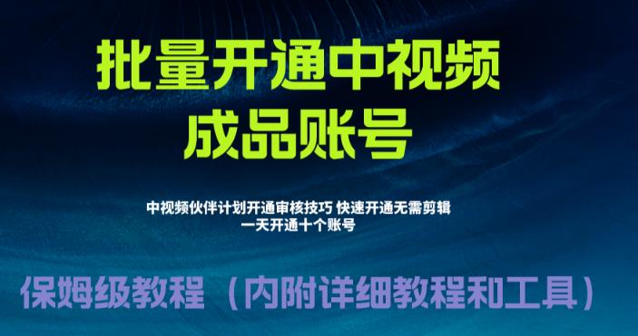 （6561期）外面收费1980暴力开通中视频计划教程，附 快速通过中视频伙伴计划的办法-古龙岛网创