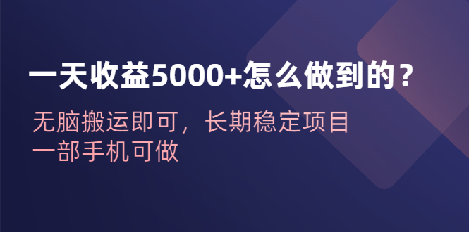 （6435期）一天收益5000+怎么做到的？无脑搬运即可，长期稳定项目，一部手机可做-古龙岛网创