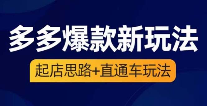 （6028期）2023拼多多爆款·新玩法：起店思路+直通车玩法（3节精华课）-古龙岛网创