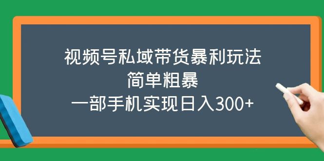 （5544期）视频号私域带货暴利玩法，简单粗暴，一部手机实现日入300+-古龙岛网创