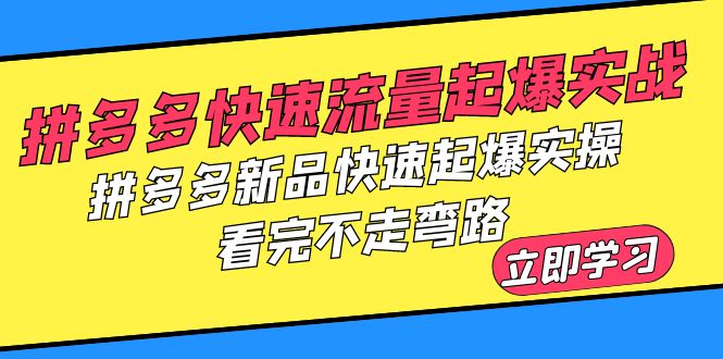 （6253期）拼多多-快速流量起爆实战，拼多多新品快速起爆实操，看完不走弯路-古龙岛网创