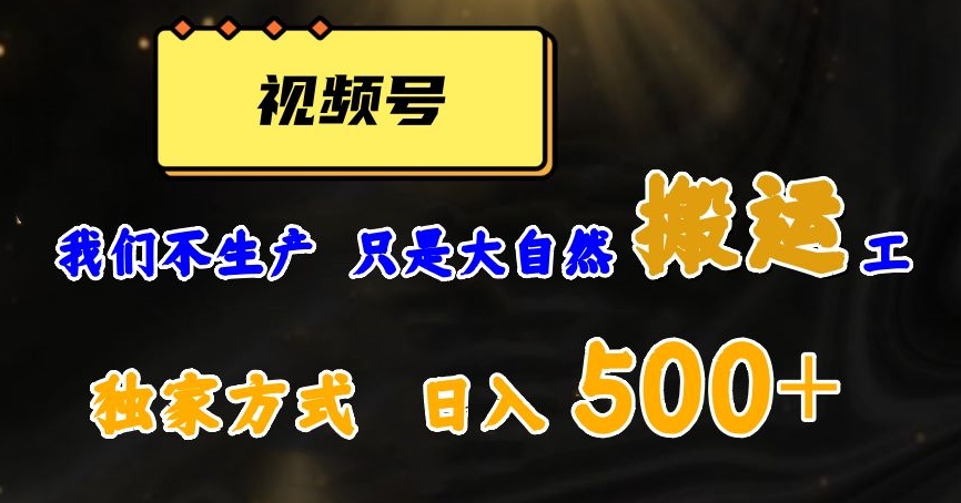 视频号轻松搬运日赚500+，一个1分钟1条原创视频【揭秘】-古龙岛网创