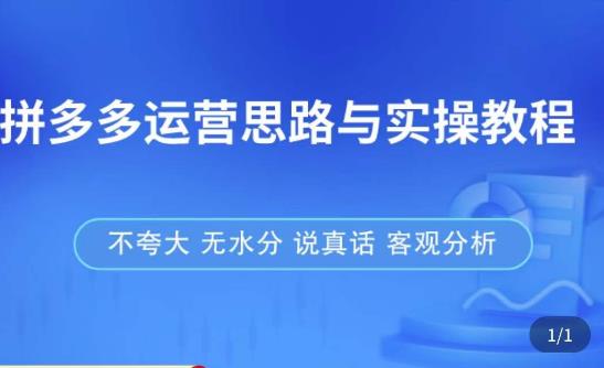 拼多多店铺运营思路与实操教程，快速学会拼多多开店和运营，少踩坑，多盈利-古龙岛网创