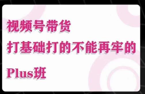 大播汇·视频号带货Puls班，视频号底层逻辑，起号自然流鱼塘等玩法-古龙岛网创