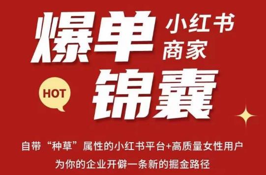 无畏·小红书商家爆单锦囊，掌握小红书各大规则，快速精准抢占行业和市场-古龙岛网创