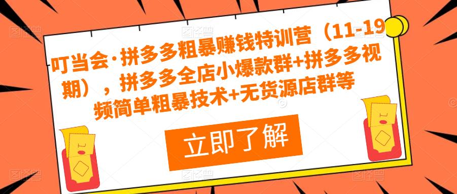 叮当会·拼多多粗暴赚钱特训营（11-19期），拼多多全店小爆款群+拼多多视频简单粗暴技术+无货源店群等-古龙岛网创