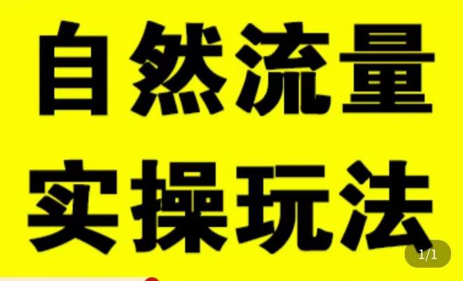 拼多多自然流量天花板，拼多多自然流的实操玩法，自然流量是怎么来的，如何开车带来自然流等知识-古龙岛网创