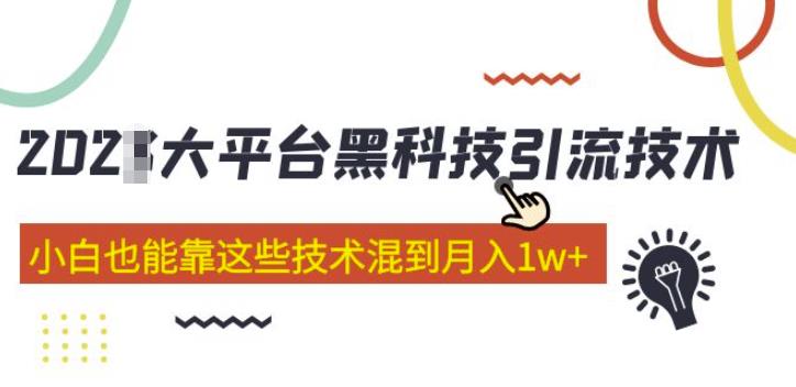 大平台黑科技引流技术，小白也能靠这些技术混到月入1w+(2022年的课程）-古龙岛网创