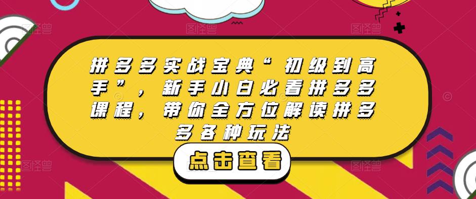 拼多多实战宝典“初级到高手”，新手小白必看拼多多课程，带你全方位解读拼多多各种玩法-古龙岛网创