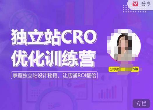 独立站CRO优化训练营，掌握独立站设计秘籍，打造高转化的独立站，让店铺ROI翻倍-古龙岛网创