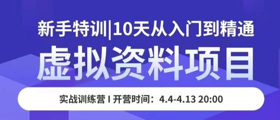 虚拟资料项目新手特训，10天从入门到精通，保姆级实操教学-古龙岛网创