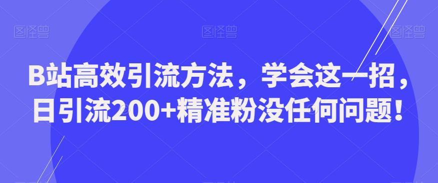 B站高效引流方法，学会这一招，日引流200+精准粉没任何问题【揭秘】-古龙岛网创