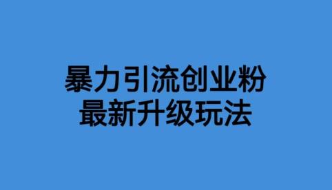 价值1980一千个野路子暴力引流最新升级玩法【揭秘】-古龙岛网创