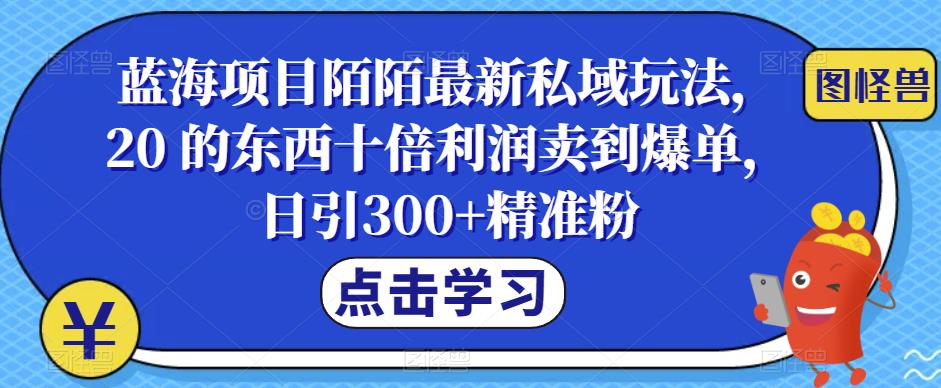 蓝海项目陌陌最新私域玩法，20 的东西十倍利润卖到爆单，日引300+精准粉【揭秘】-古龙岛网创