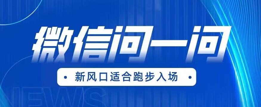 全网首发微信问一问新风口变现项目（价值1999元）【揭秘】-古龙岛网创