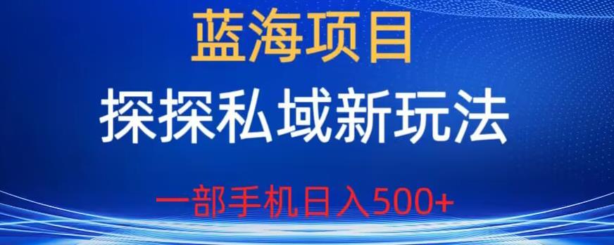 蓝海项目，探探私域新玩法，一部手机日入500+很轻松【揭秘】-古龙岛网创