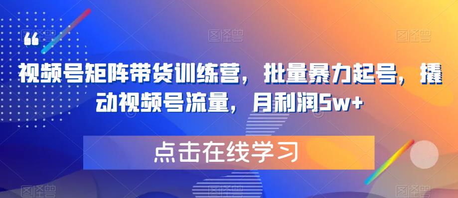 视频号矩阵带货训练营，批量暴力起号，撬动视频号流量，月利润5w+-古龙岛网创