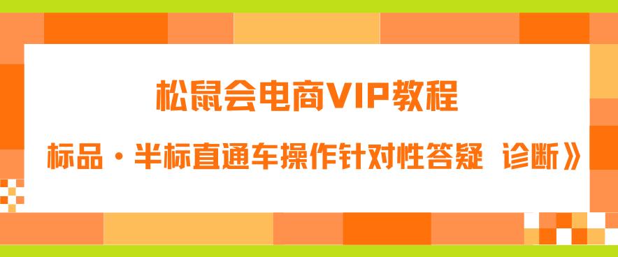 松鼠会电商VIP教程：松鼠《付费推广标品·半标直通车操作针对性答疑&诊断》-古龙岛网创