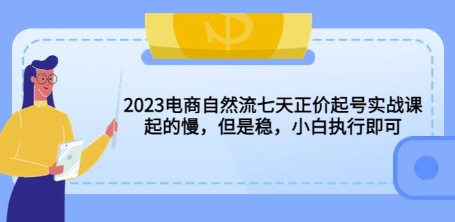 2023电商自然流七天正价起号实战课：起的慢，但是稳，小白执行即可！-古龙岛网创