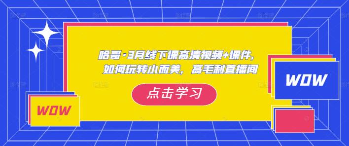 哈哥·3月线下实操课高清视频+课件，如何玩转小而美，高毛利直播间-古龙岛网创