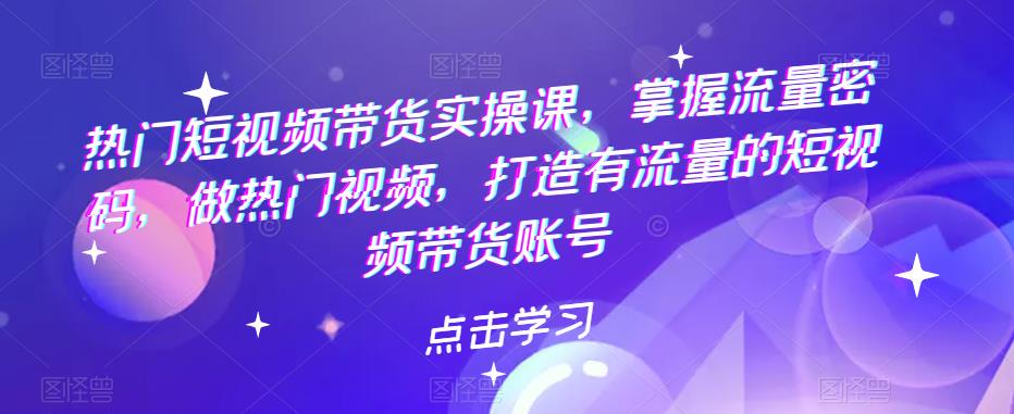 热门短视频带货实操课，掌握流量密码，做热门视频，打造有流量的短视频带货账号-古龙岛网创