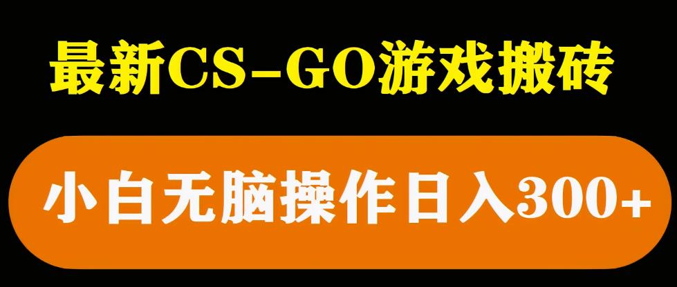 最新csgo游戏搬砖游戏，无需挂机小白无脑也能日入300+-古龙岛网创