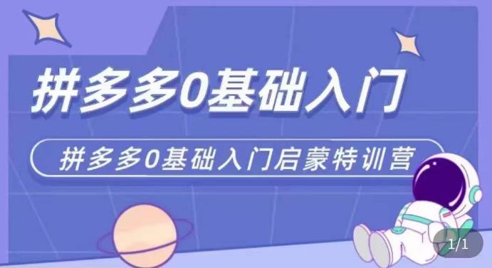 拼多多运营0-1实操特训营，拼多多0基础入门，从基础到进阶的可实操玩法-古龙岛网创