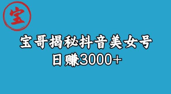 宝哥揭秘抖音美女号玩法，日赚3000+【揭秘】-古龙岛网创