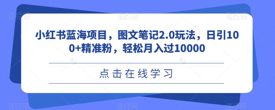 小红书蓝海项目，图文笔记2.0玩法，日引100+精准粉，轻松月入过10000【揭秘】-古龙岛网创