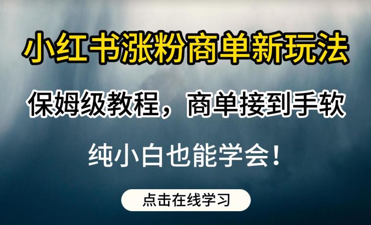 小红书涨粉商单新玩法，保姆级教程，商单接到手软，纯小白也能学会【揭秘】-古龙岛网创