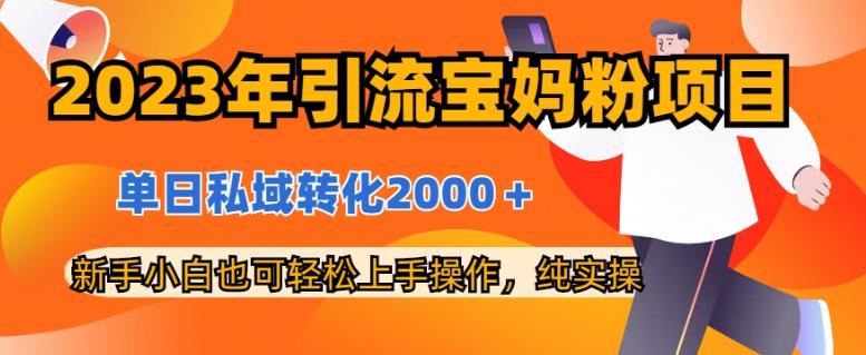 2023年引流宝妈粉项目，单日私域转化2000＋，新手小白也可轻松上手操作，纯实操-古龙岛网创