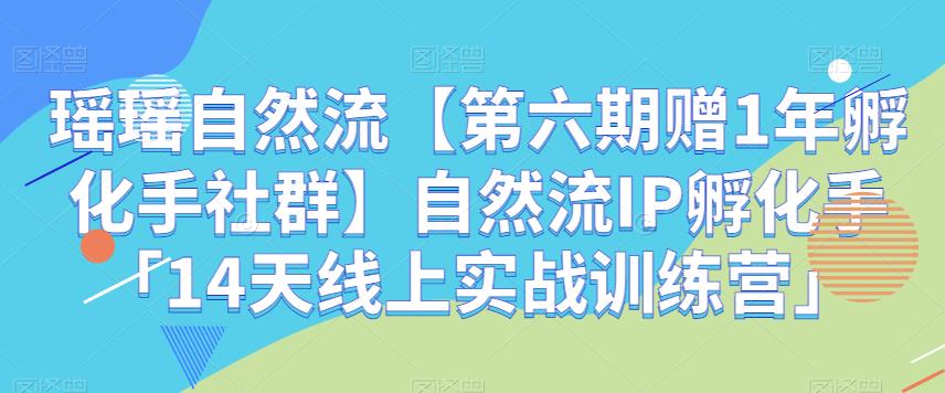 瑶瑶自然流【第六期赠1年孵化手社群】自然流IP孵化手「14天线上实战训练营」-古龙岛网创