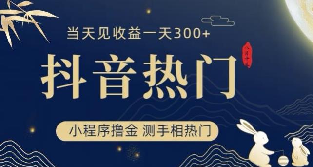 抖音最新小程序撸金，测手相上热门，当天见收益一小时变现300+【揭秘】-古龙岛网创