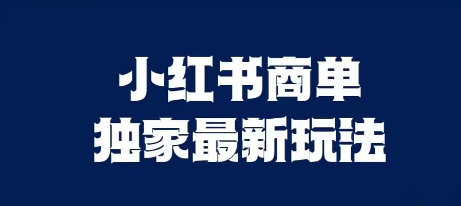 小红书商单最新独家玩法，剪辑时间短，剪辑难度低，能批量做号【揭秘】-古龙岛网创