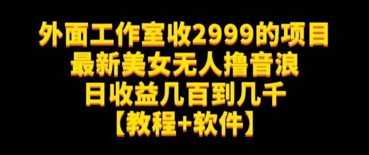 外面工作室收2999的项目最新美女无人撸音浪日收益几百到几千【教程+软件】（仅揭秘）-古龙岛网创