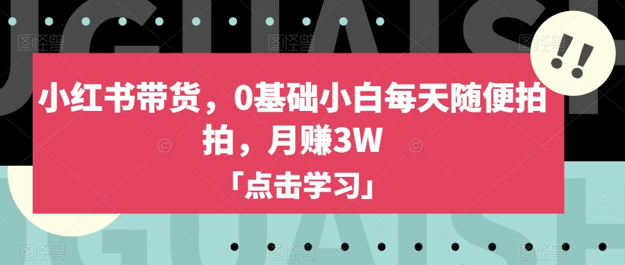 小红书带货，0基础小白每天随便拍拍，月赚3W【揭秘】-古龙岛网创