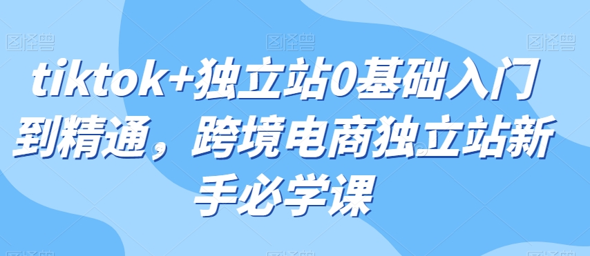 tiktok+独立站0基础入门到精通，跨境电商独立站新手必学课-古龙岛网创