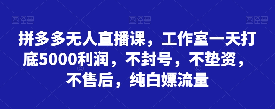 拼多多无人直播课，工作室一天打底5000利润，不封号，不垫资，不售后，纯白嫖流量-古龙岛网创