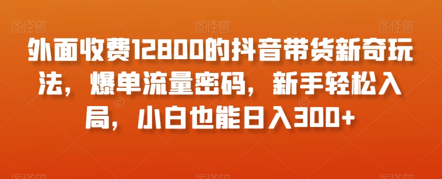 外面收费12800的抖音带货新奇玩法，爆单流量密码，新手轻松入局，小白也能日入300+【揭秘】-古龙岛网创