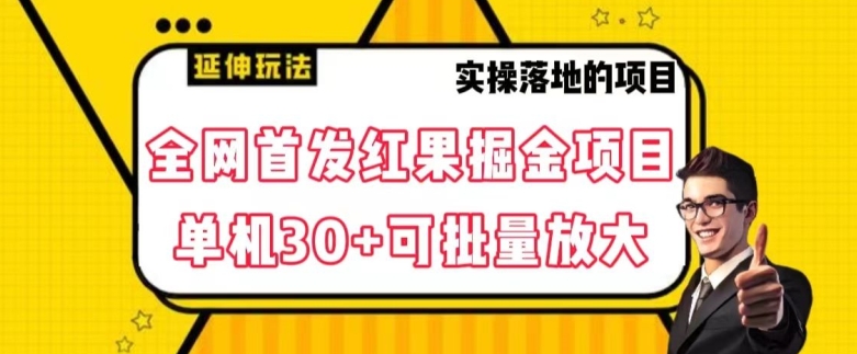 全网首发红果免费短剧掘金项目，单机30+可批量放大【揭秘】-古龙岛网创