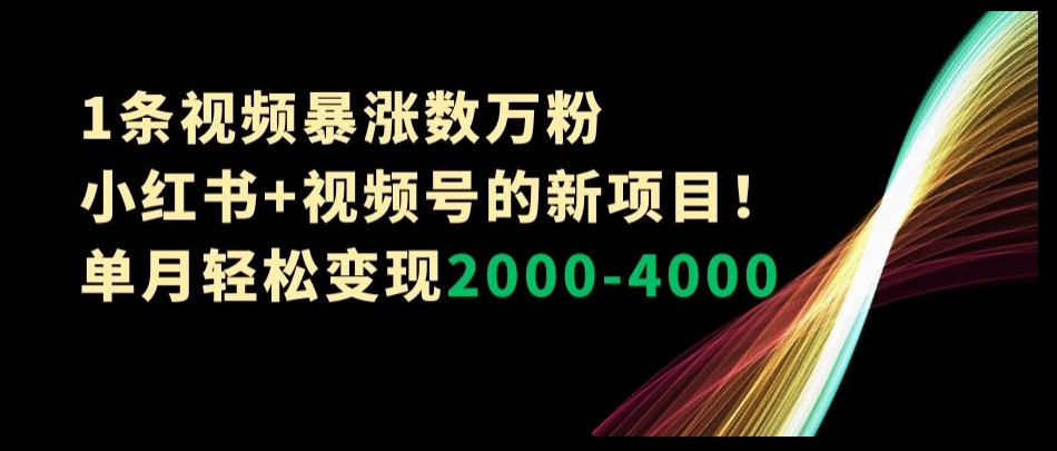 1条视频暴涨数万粉–小红书+视频号的新项目！单月轻松变现2000-4000【揭秘】-古龙岛网创