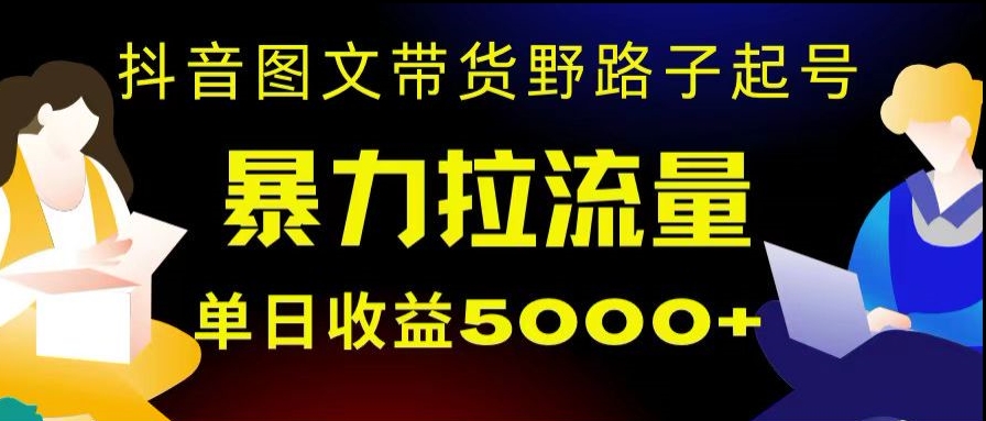 抖音图文带货暴力起号，单日收益5000+，野路子玩法，简单易上手，一部手机即可【揭秘】-古龙岛网创