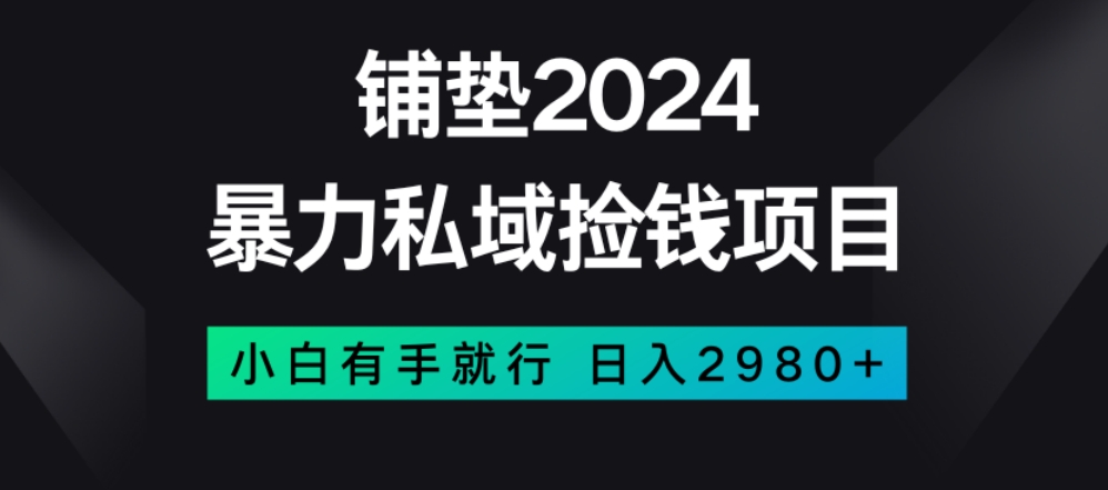 暴力私域捡钱项目，小白无脑操作，日入2980【揭秘】-古龙岛网创