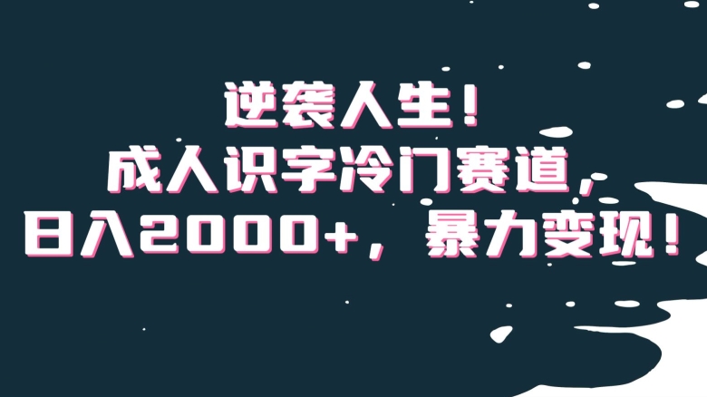 逆袭人生！成人识字冷门赛道，日入2000+，暴力变现！【揭秘】-古龙岛网创