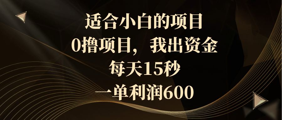 （8571期）适合小白的项目，0撸项目，我出资金，每天15秒，一单利润600-古龙岛网创