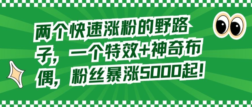 两个快速涨粉的野路子，一个特效+神奇布偶，粉丝暴涨5000起【揭秘】-古龙岛网创