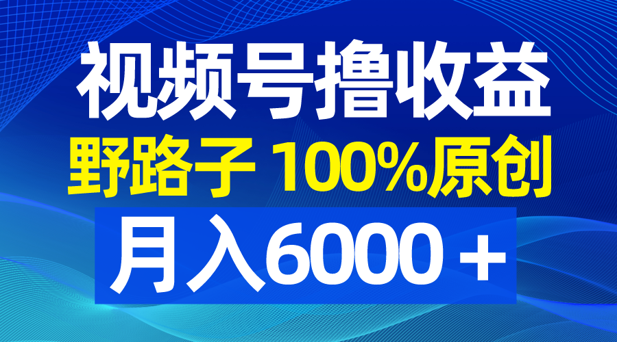 （8679期）视频号野路子撸收益，100%原创，条条爆款，月入6000＋-古龙岛网创